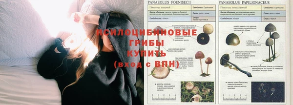 наркотики Покров