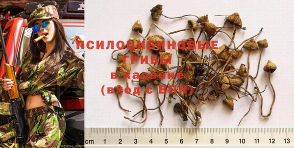 ГАЛЛЮЦИНОГЕННЫЕ ГРИБЫ Армянск