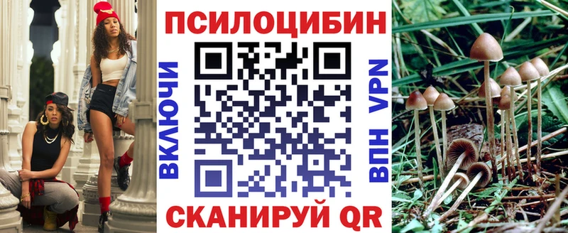 Псилоцибиновые грибы мухоморы  что такое   Спас-Деменск 